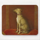 Search for greyhound mousepads portrait