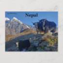 Search for nepal postcards Asia