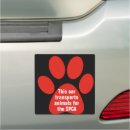 Search for black cat bumper stickers Felines