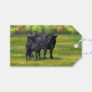 Search for cow gift tags Cute calf