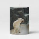 Search for wolf candles Wildlife