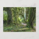 Search for olympic national park postcards Washington state