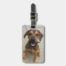 Search for dog luggage tags animal