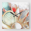 Search for seashell clocks Tropical