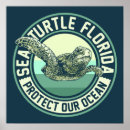 Search for sea turtle posters Florida