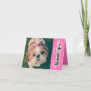 Search for caregiver cards Veterinarian