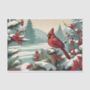 Search for cardinal tissue paper Red berries