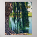 Search for weeping willow tree posters Green