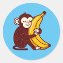 Search for monkey banana stickers Humor