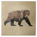 Search for bear tiles Animals