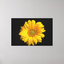 Search for flowers canvas prints Petals