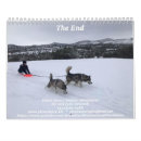 Search for alaskan malamute gifts Snow