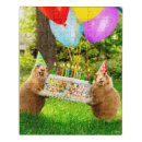 Search for plastic puzzles Birthday