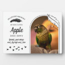 Search for parrot memorial Feather