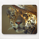 Search for leopard mousepads Outdoors