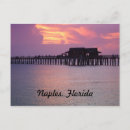 Search for naples florida postcards Pier