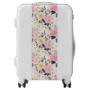 Search for vintage luggage Pastel