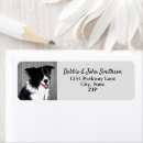 Search for dog return address labels Cute