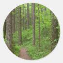 Search for oregon stickers Green