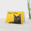 Search for black cat birthday cards Feline