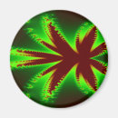 Search for dragonfly magnets Glowing