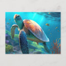 Search for sea turtle postcards Coral