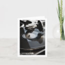 Search for record player cards Partner