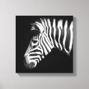 Search for black and white stripes canvas prints Elegant