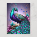 Search for peacock gifts Birds