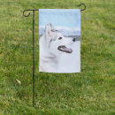 Search for white siberian husky Dog