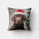 Search for black lab christmas pillows Funny