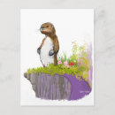 Search for otter postcards Illustration
