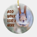 Search for funny squirrel ornaments Animal