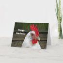 Search for chicken cards Rooster