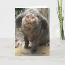 Search for pig cards Farm animals