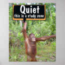 Search for classroom posters Fun