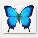 Search for butterfly mousepads Insect