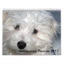 Search for rescue calendars Puppies
