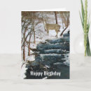 Search for mens birthday cards Masculine