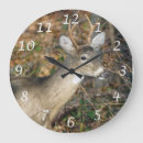 Search for wildlife clocks Outdoors