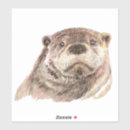 Search for sea otter stickers Watercolor