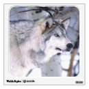 Search for wolf wall decals Canis lupus
