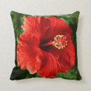 Search for hibiscus pillows Hawaii