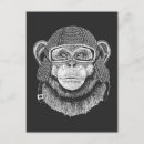 Search for chimpanzee postcards Cute