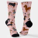Search for dachshund socks Puppy