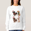 Search for dachshund clothing Santa