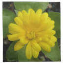 Search for marigold napkins Yellow