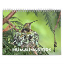 Search for hummingbird calendars Wildlife photography
