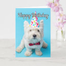 Search for funny kids cards Animal