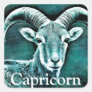 Search for capricorn stickers Birthday